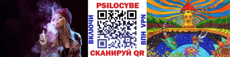 Псилоцибиновые грибы мицелий Будённовск