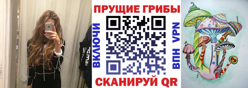 это официальный сайт  Будённовск  Псилоцибиновые грибы мицелий 
