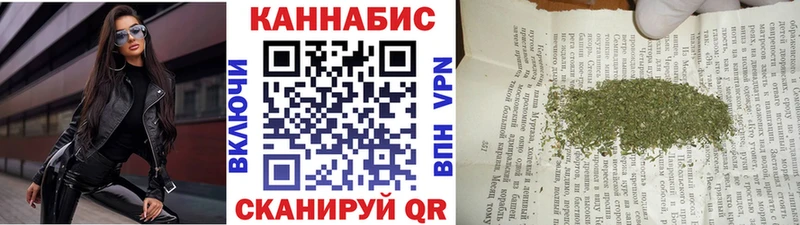 наркотики  блэк спрут ССЫЛКА  Каннабис сатива  Будённовск 